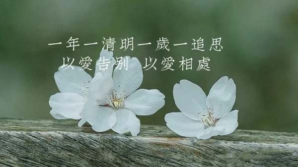 清明那天一定要这样发朋友圈文案