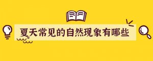 夏天常见的自然现象有哪些