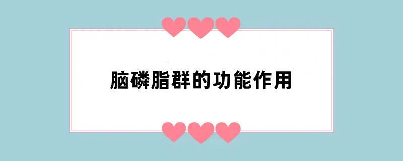 脑磷脂群的功能作用