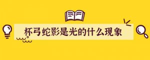 杯弓蛇影是光的什么现象
