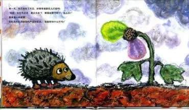 《彩虹色的花》教学设计