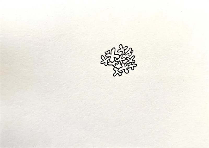 桂花简笔画图片教程简单