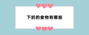 下奶的食物有哪些