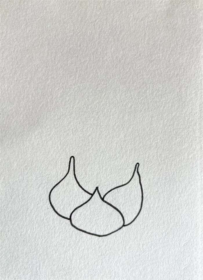 火龙果简笔画图片教程简单又好看