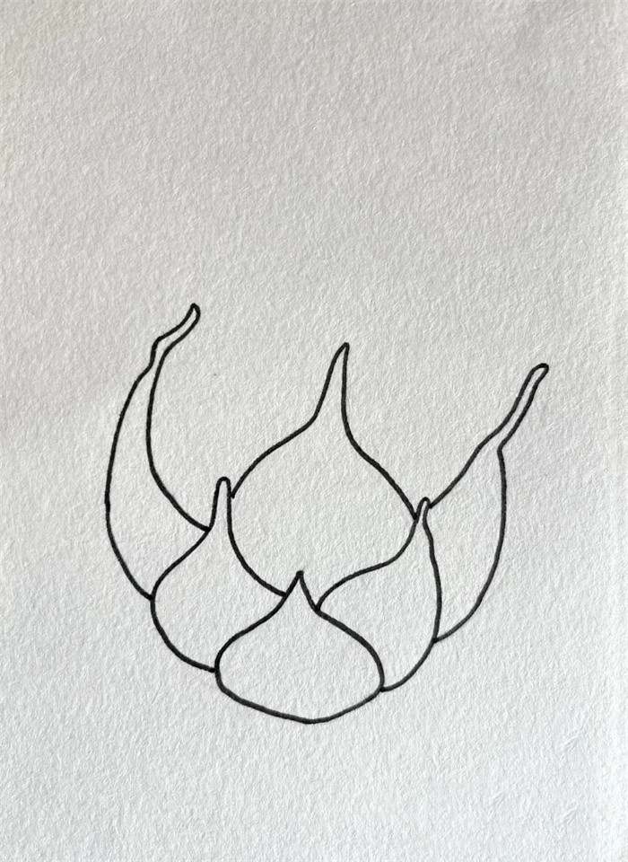 火龙果简笔画图片教程简单又好看