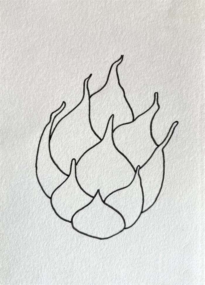 火龙果简笔画图片教程简单又好看