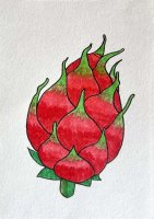 火龙果简笔画图片教程简单又好看