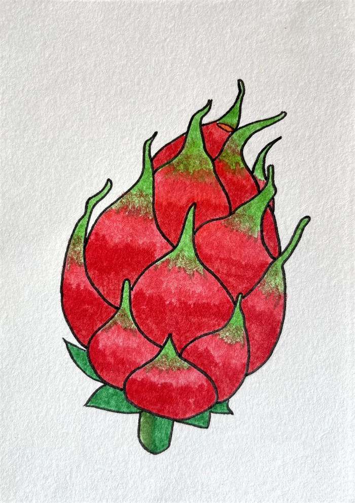 火龙果简笔画图片教程简单又好看