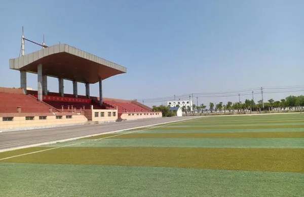 我对学校的建议简短