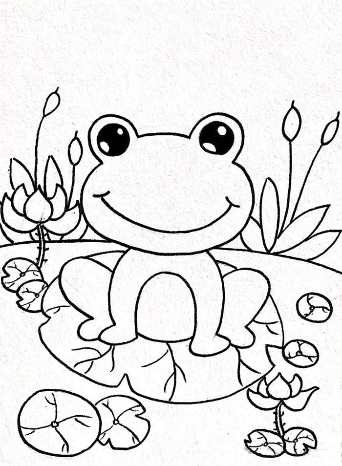 池塘里的青蛙简笔画图片教程简单