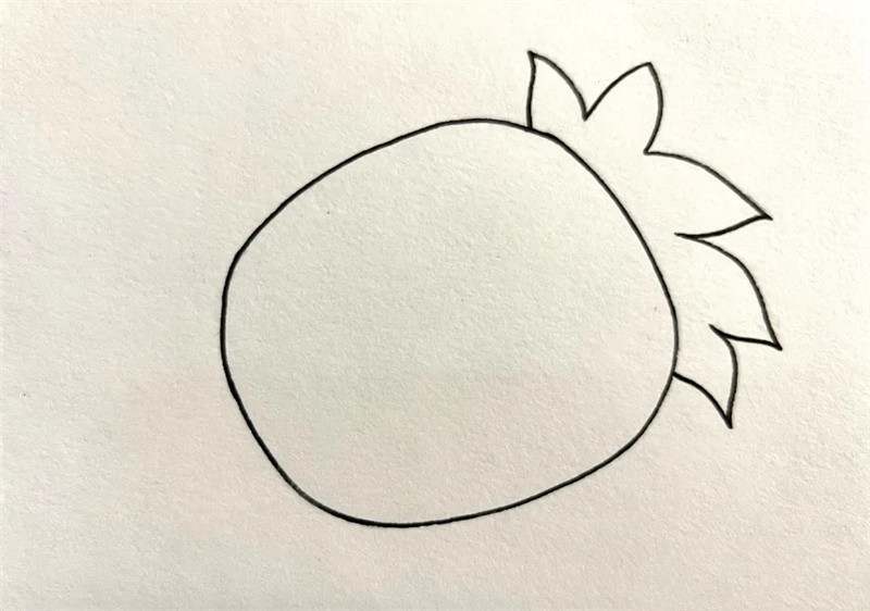 菠萝简笔画图片教程简单