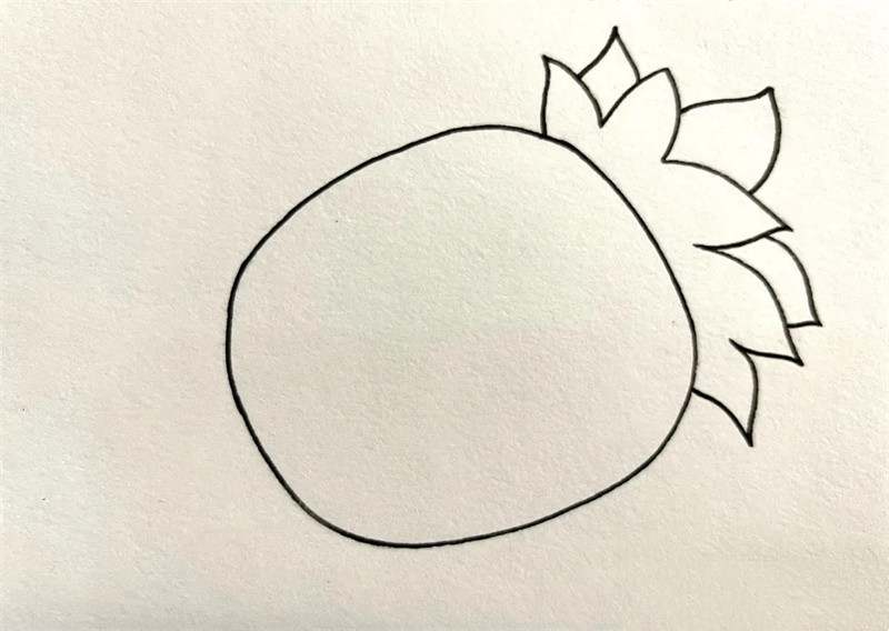 菠萝简笔画图片教程简单