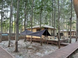 柳絮过敏怎么办