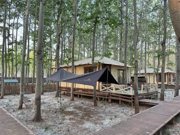 柳絮过敏怎么办