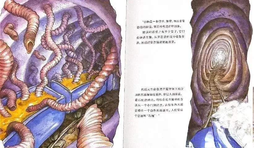 儿童绘本故事《肚子里有个火车站》养成健康的饮食习惯