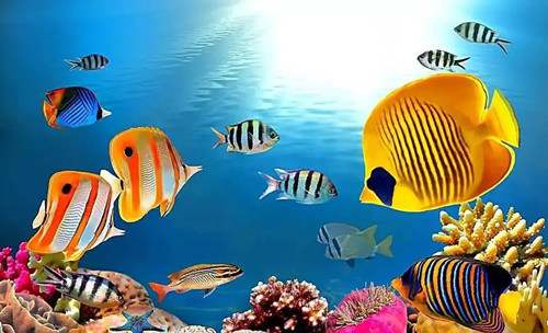 我多想保护你《小房子》教学设计