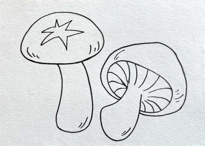 香菇简笔画图片教程简单
