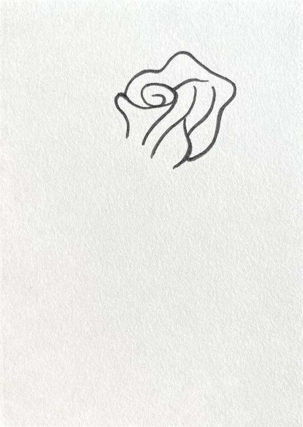 红玫瑰花简笔画图片教程简单