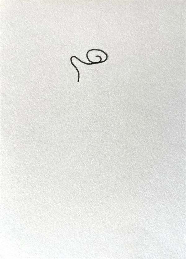 红玫瑰花简笔画图片教程简单