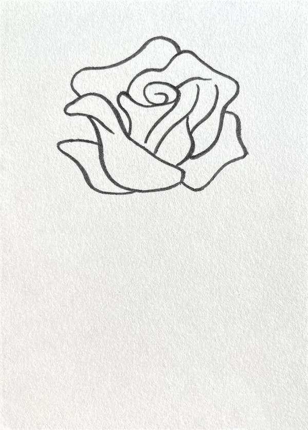 红玫瑰花简笔画图片教程简单