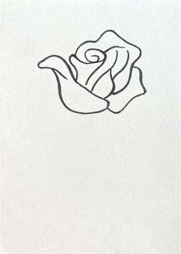 红玫瑰花简笔画图片教程简单