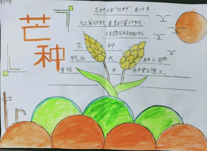 二十四节气芒种手抄报图片简单又漂亮