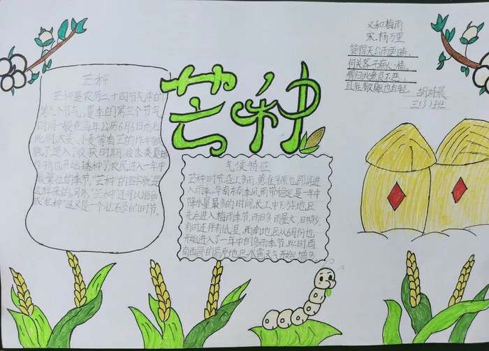 二十四节气芒种手抄报图片简单又漂亮