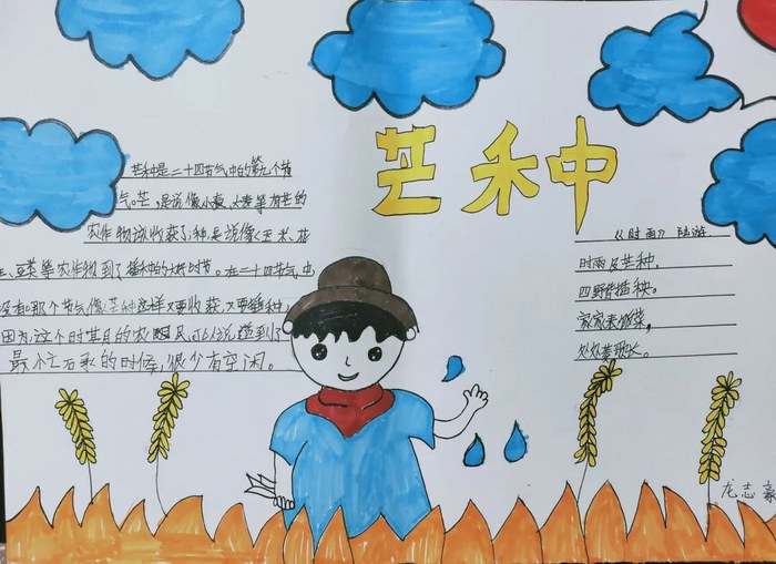 二十四节气芒种手抄报图片简单又漂亮