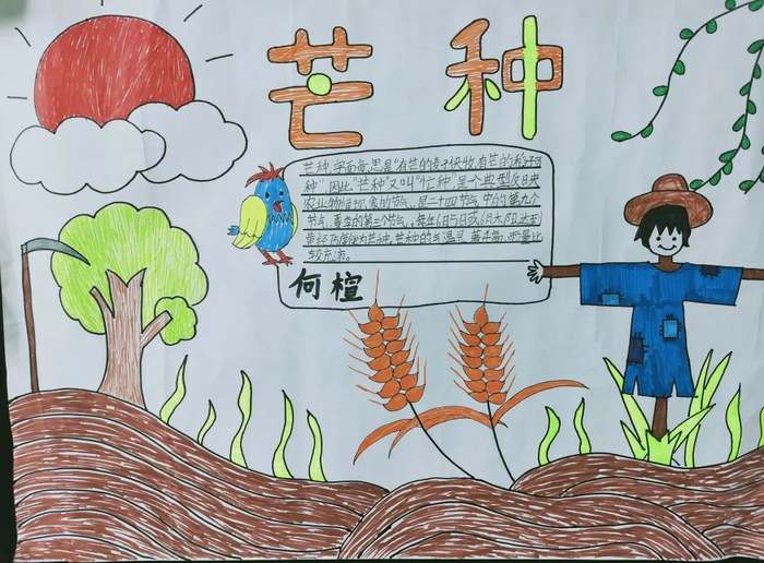 二十四节气芒种手抄报图片简单又漂亮