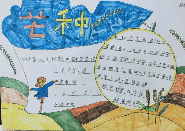 二十四节气芒种手抄报图片简单又漂亮