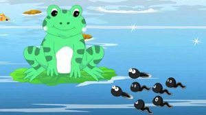 小蝌蚪找妈妈的故事文字版