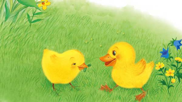 睡前小故事：小公鸡和小鸭子