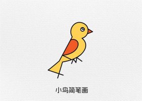 数字1234画小鸟简笔画教程简单