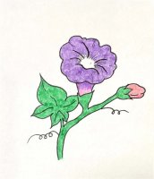 牵牛花简笔画图片教程简单