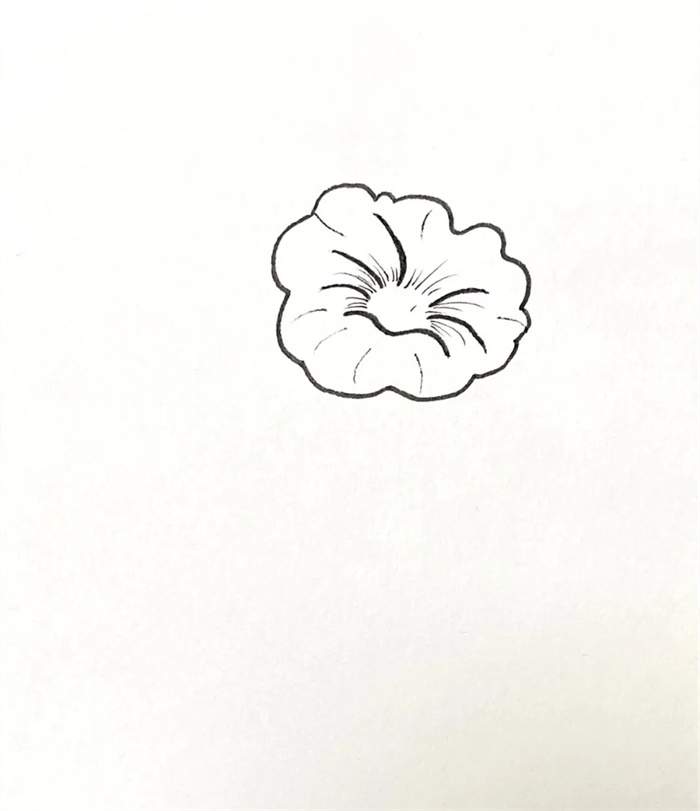 牵牛花简笔画图片教程简单