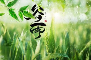 谷雨之后，春夏交替之际的养生秘诀