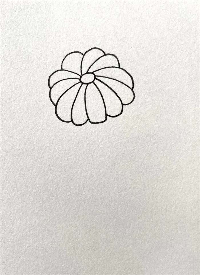 黄色的小野花简笔画图片教程简单