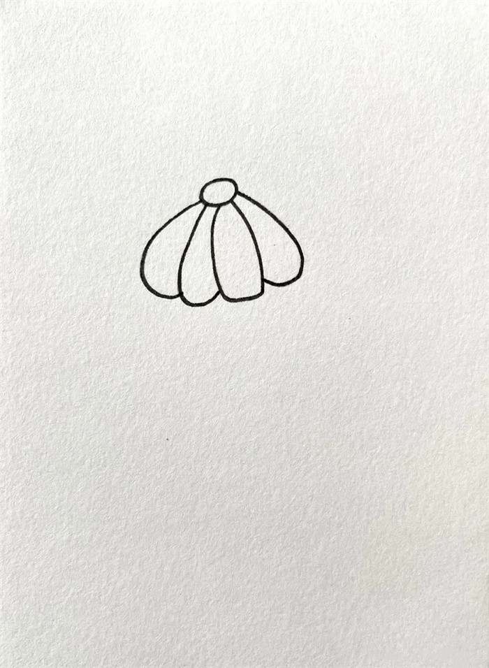 黄色的小野花简笔画图片教程简单