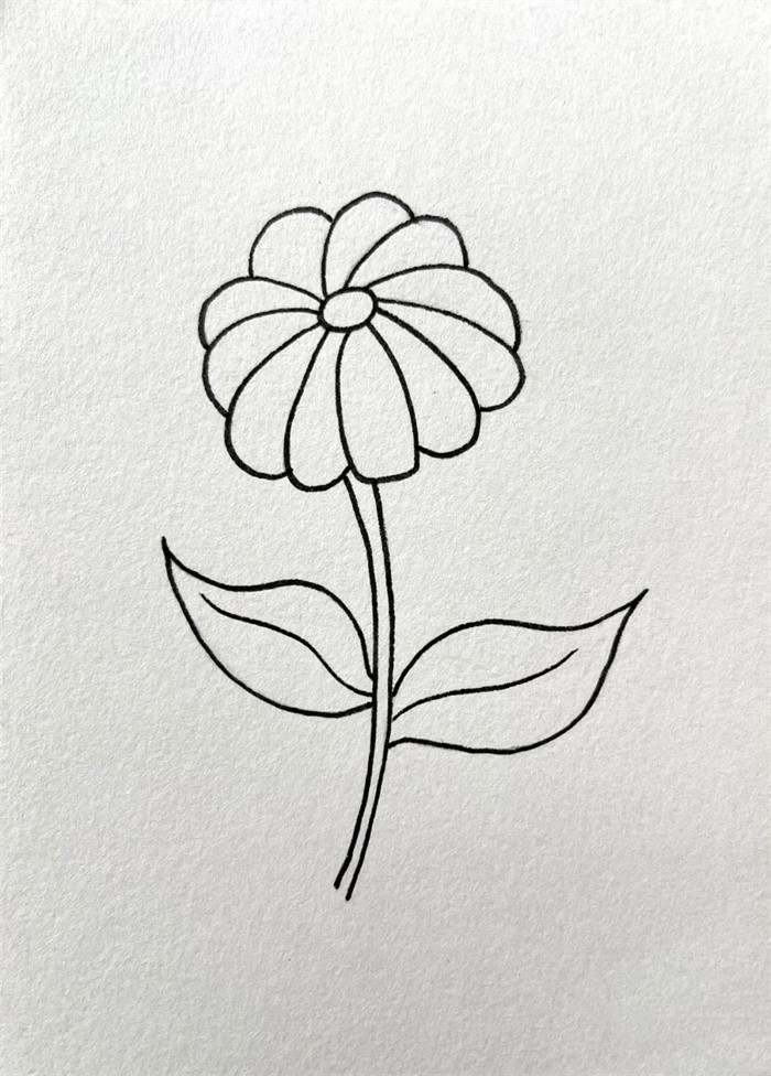 黄色的小野花简笔画图片教程简单