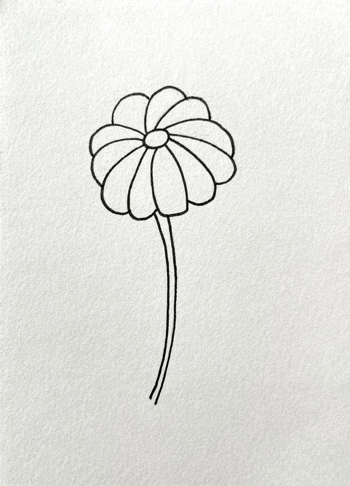 黄色的小野花简笔画图片教程简单