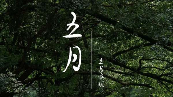 五月你好的简短句子文案