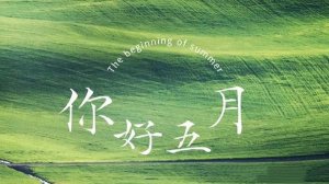五月你好的简短句子文案