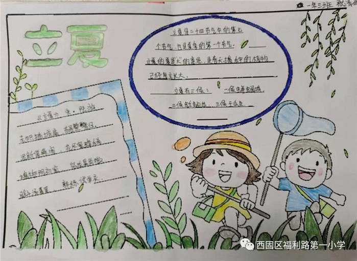 24节气立夏手抄报图片及内容