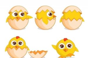 幼儿睡前故事：小蛋壳的故事