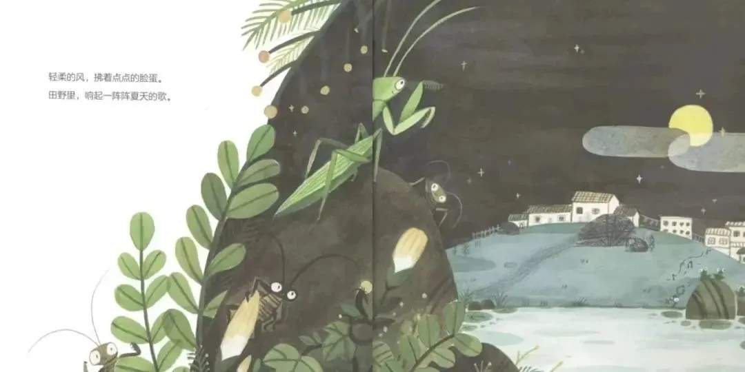 夏天主题儿童绘本故事《点点的夏天》