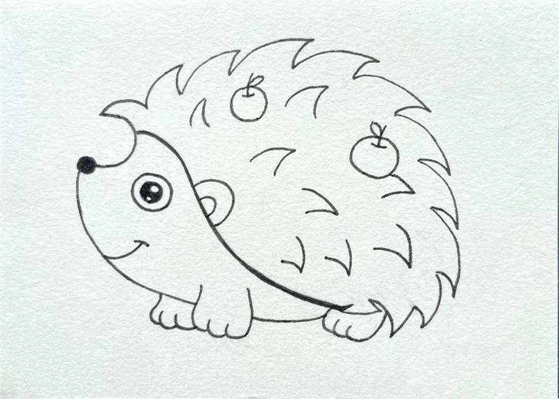 小刺猬简笔画图片教程简单