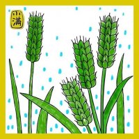小满节气主题少儿美术课程《麦穗》