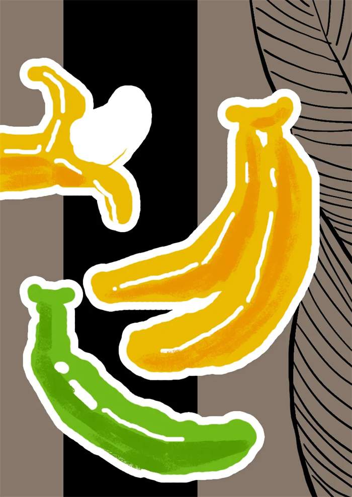 低年龄段 少儿美术课程《大香蕉》