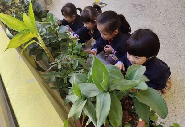 幼儿园小班观察记录分析与措施经典范例