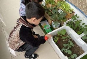 幼儿园小班观察记录分析与措施经典范例